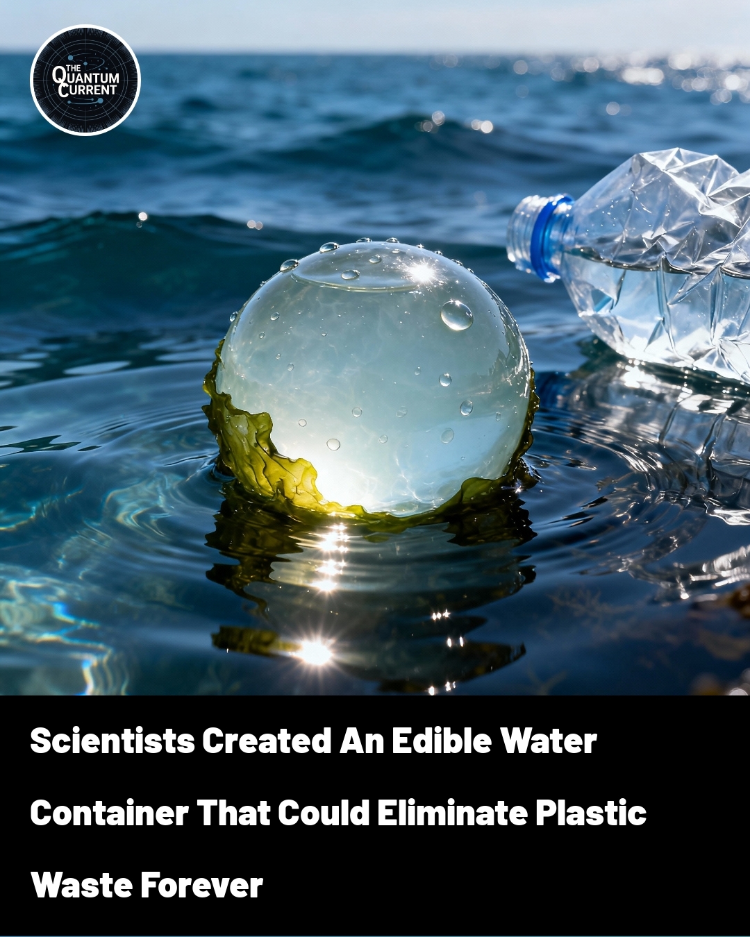 The Quantum - Hold up... You can actually EAT the water bottle? 🤯 This ...