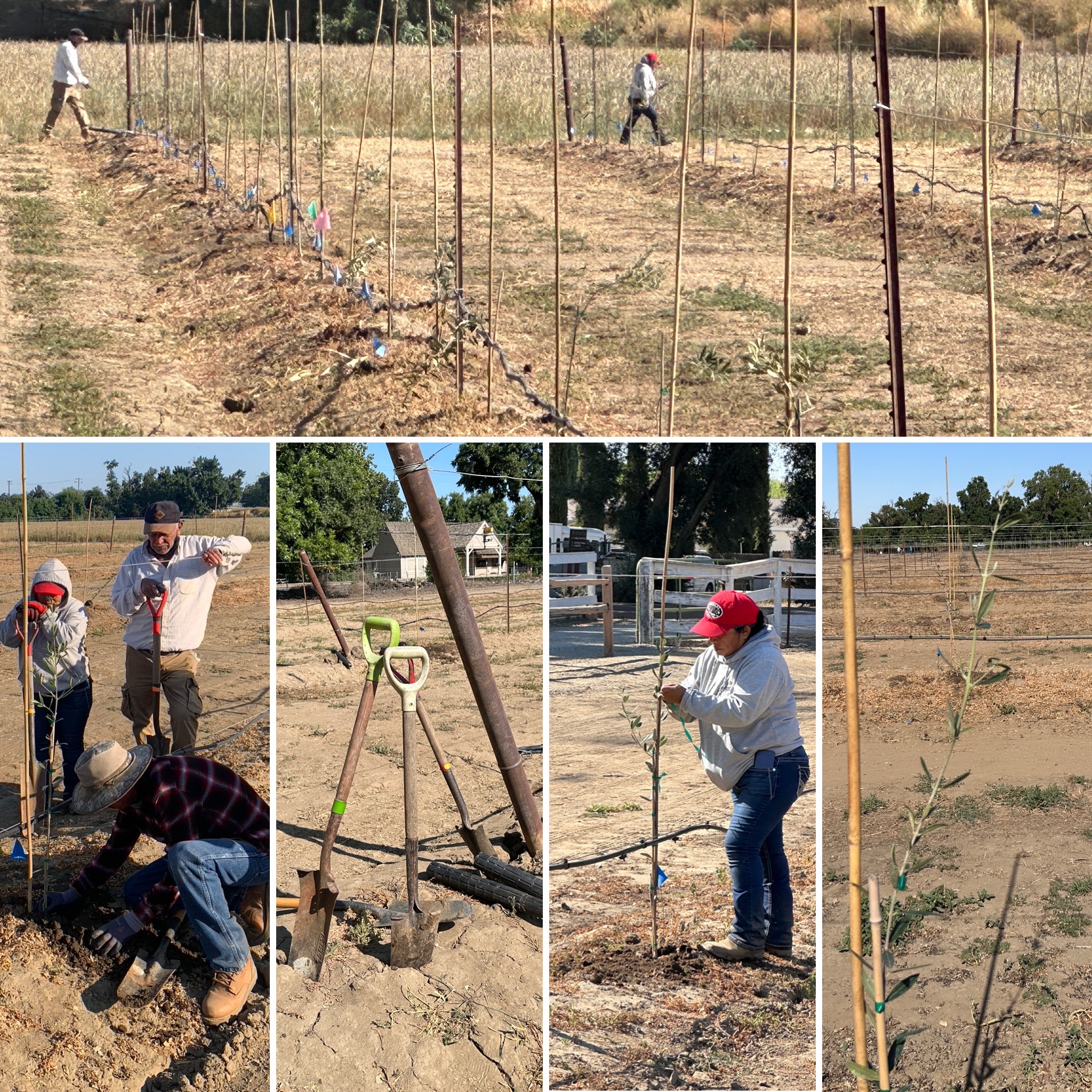 Our HQ at The Maples Farm... - Center for Land-Based Learning | Facebook