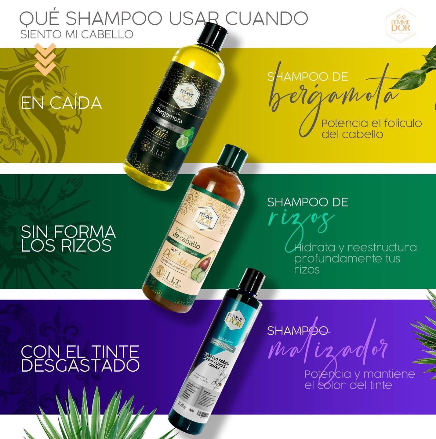 FEMME - Descubre el shampoo ideal a para tu tipo de necesidad y ...