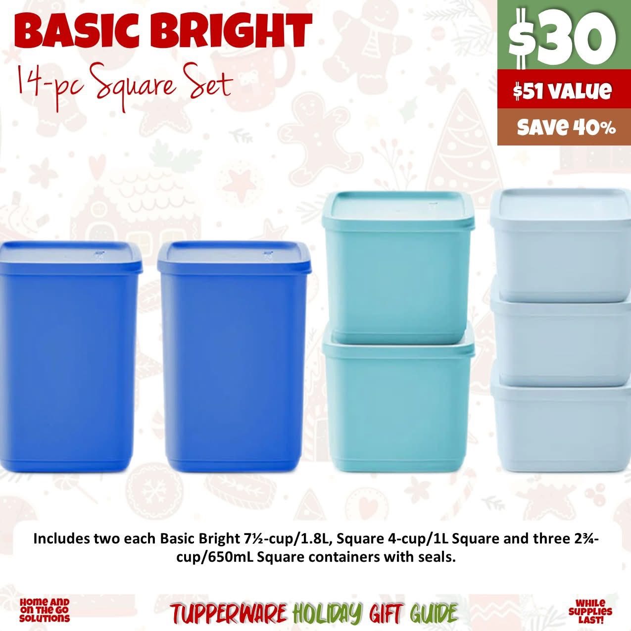 Joyce de Braganca - Tupperware | Lake City FL