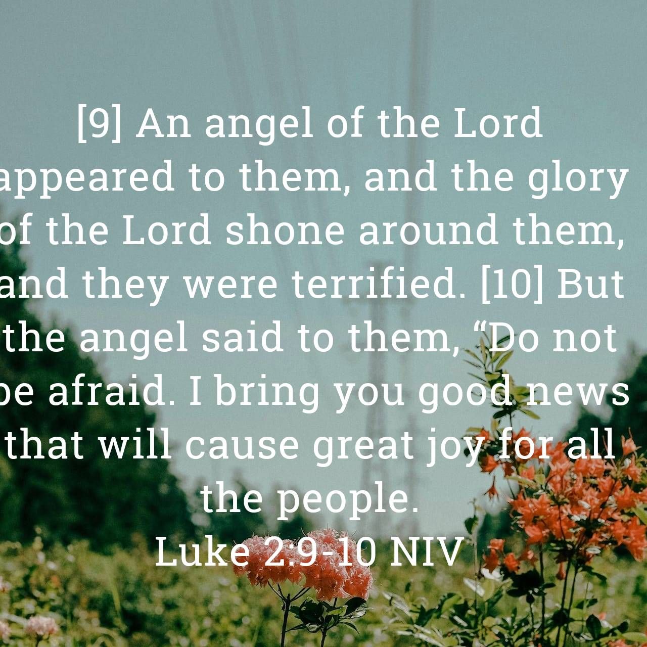 Love - 23 December 2025 Tuesday 2 days before Christmas Luke 2:9-10 NIV ...