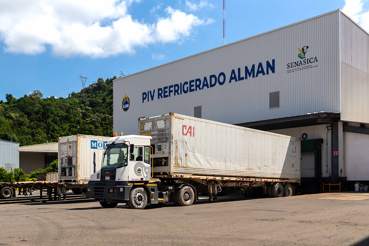 ALMAN | Manzanillo