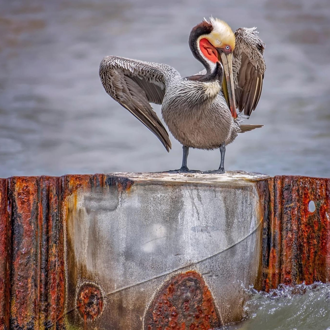 Stephanie Roe Photography