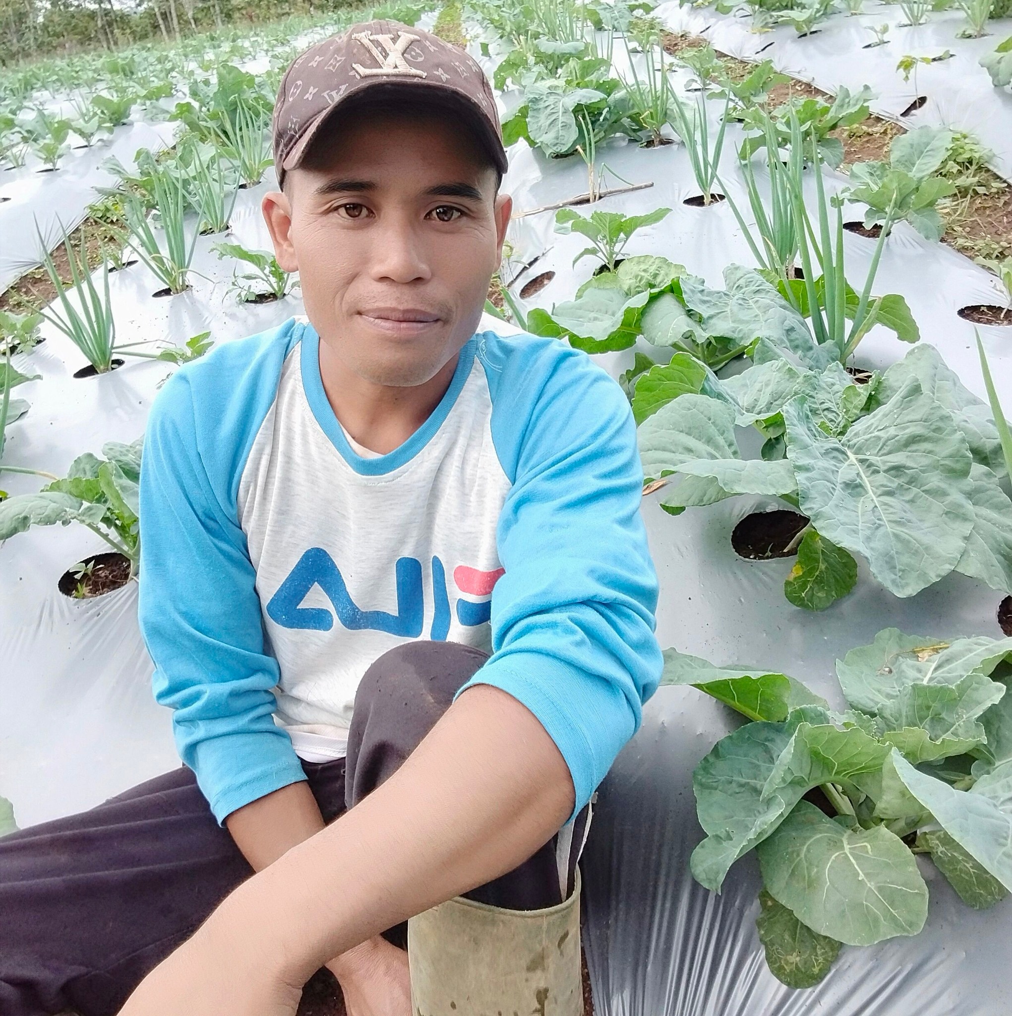 Sesuwai harapan #petanisayur #kembangkol | Yadi N R | Facebook