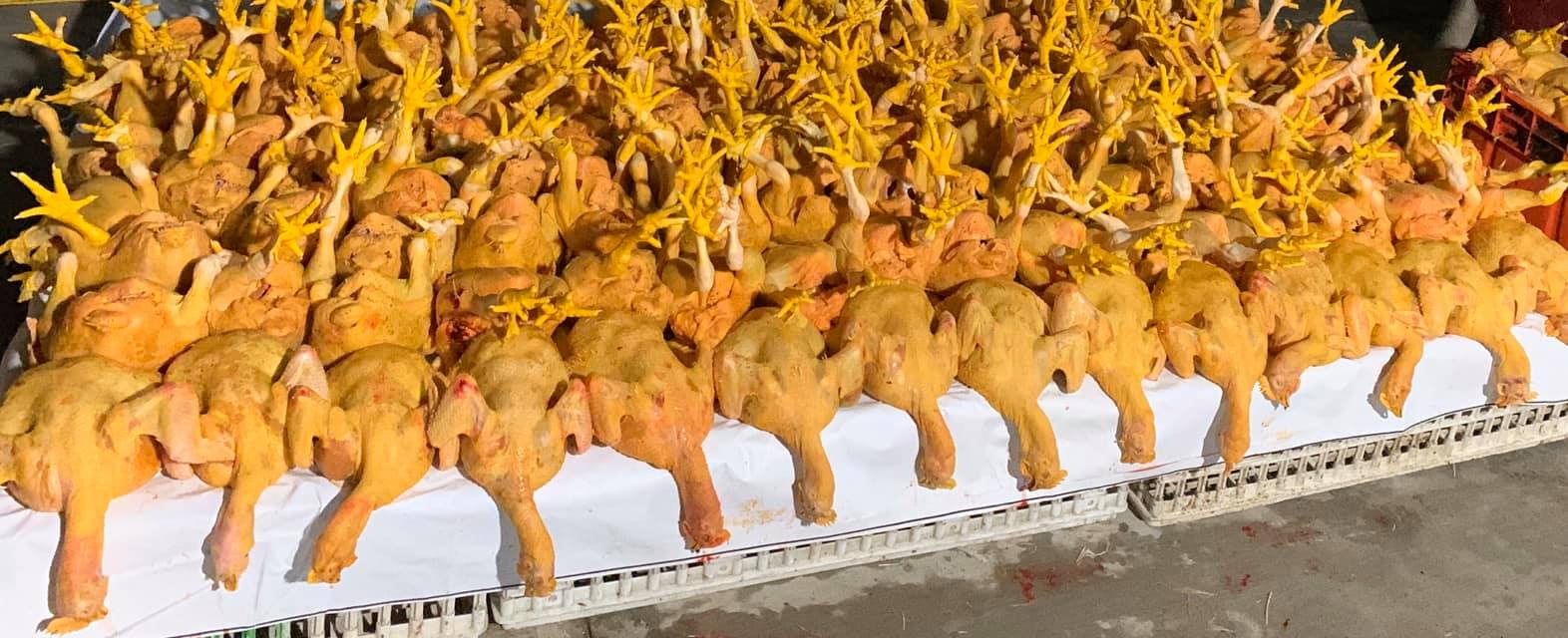 Mi pollo | Poza Rica
