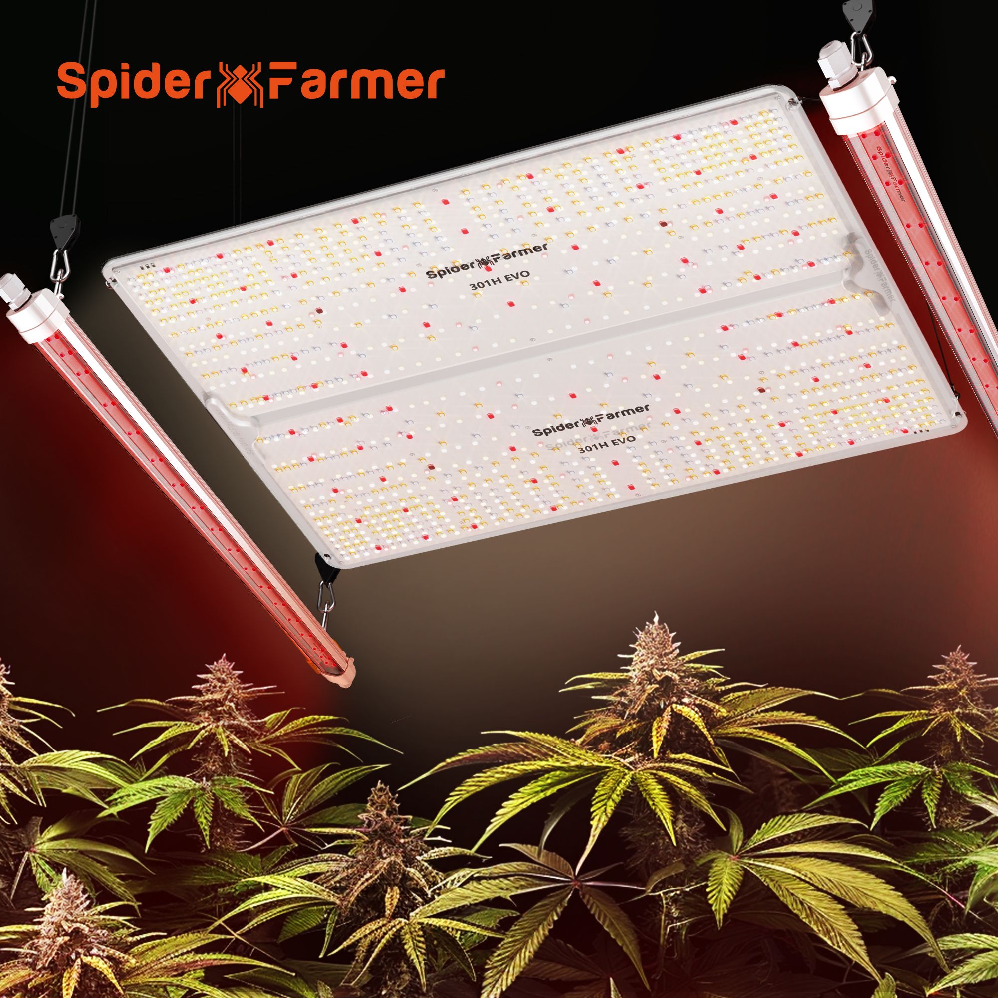 Spider Farmer LED Grow Lights are in stock!! Low running costs 