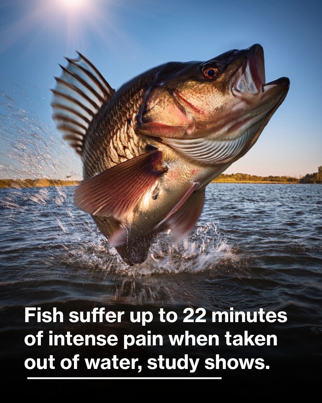 Science Acumen - A recent study highlights the prolonged... | Facebook