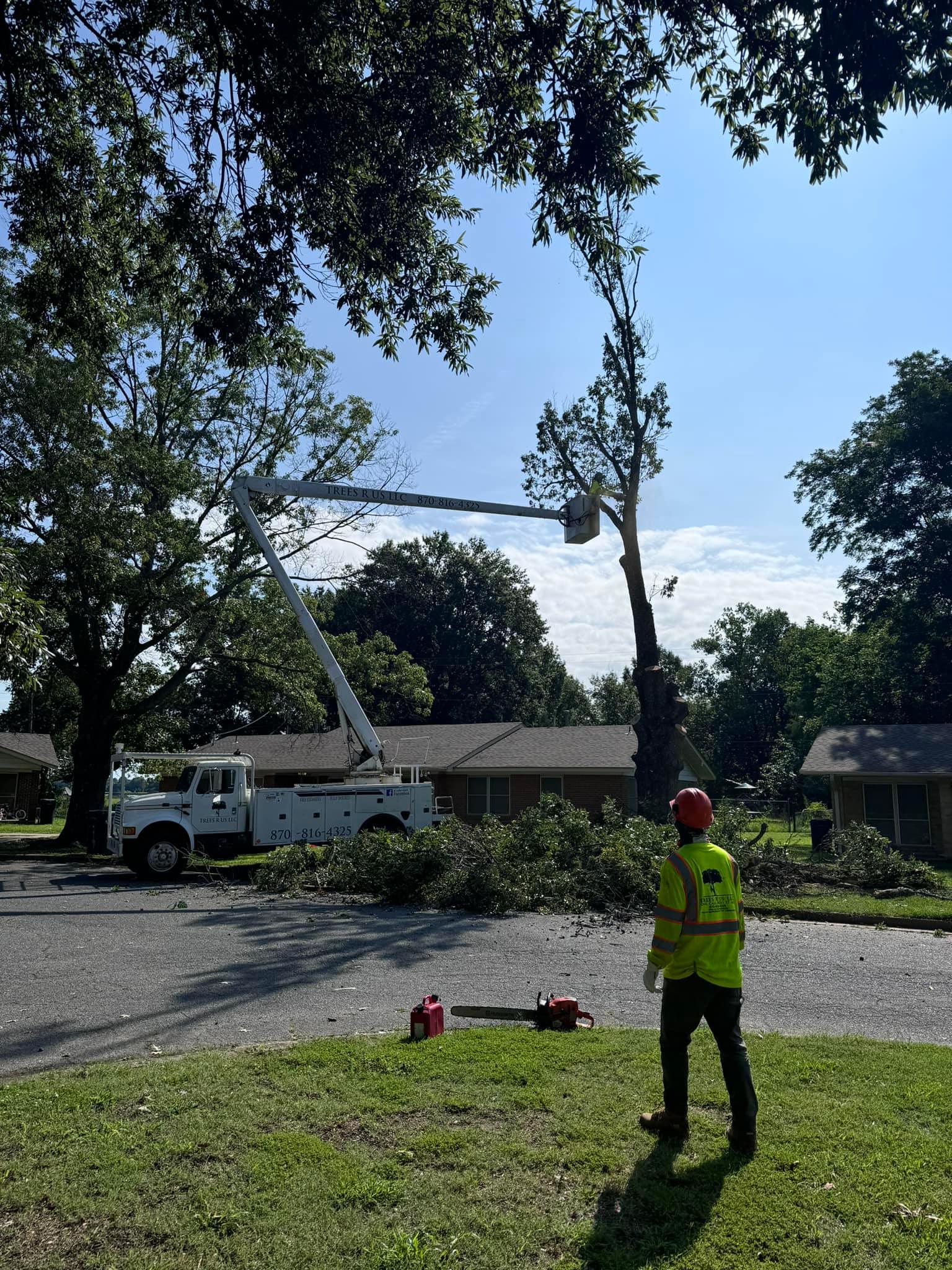 Trees R Us LLC