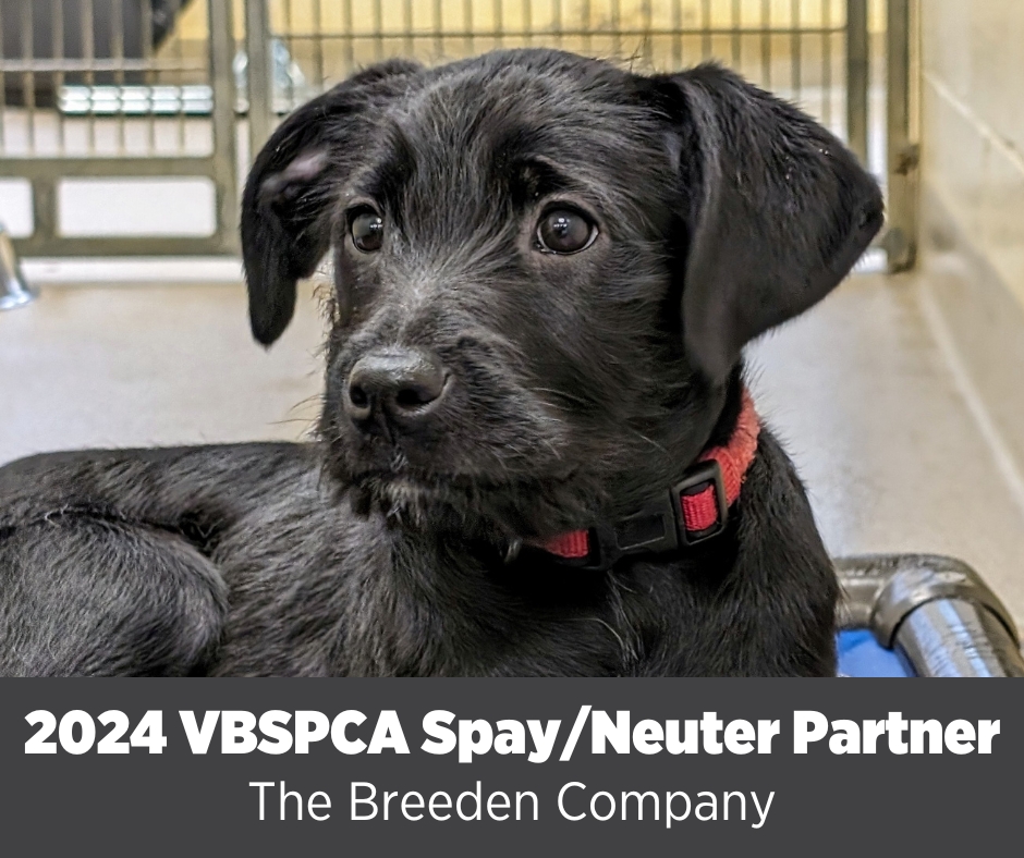 We'd like to welcome The Breeden... - Virginia Beach SPCA