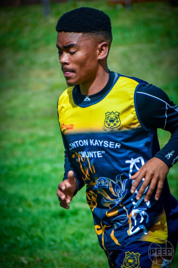 Spring Roses RFC
