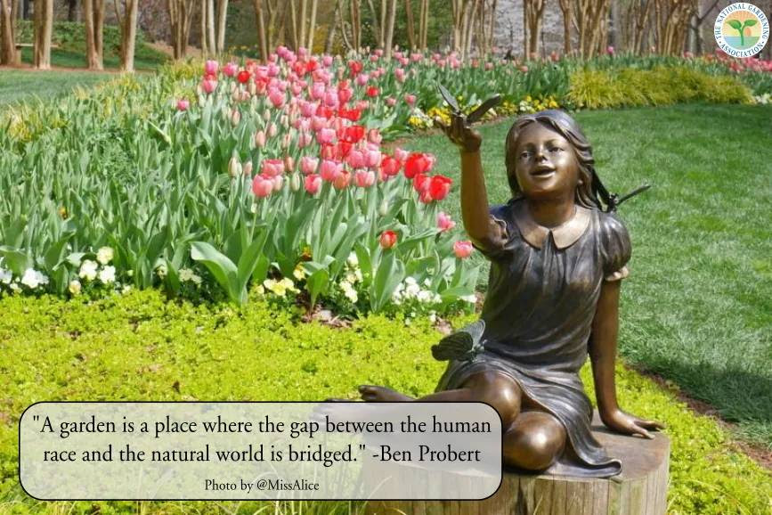 Lincoln - https://garden.org/learn/articles/view/4222/?utm_source=nl ...