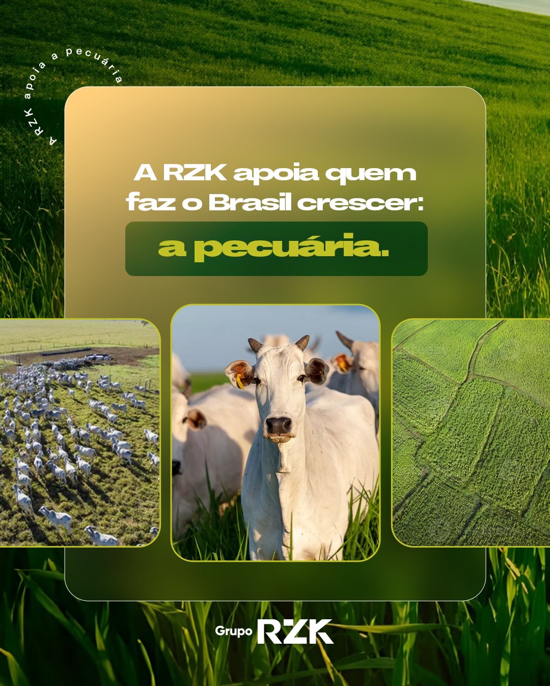 Grupo RZK