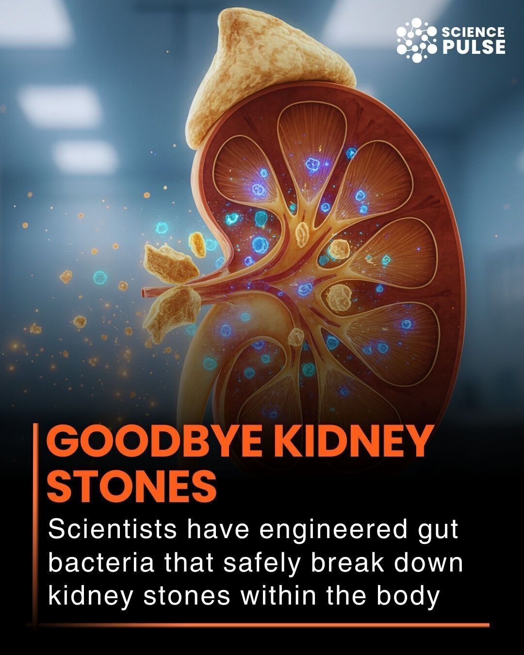 The Science - In a remarkable breakthrough, scientists have engineered ...