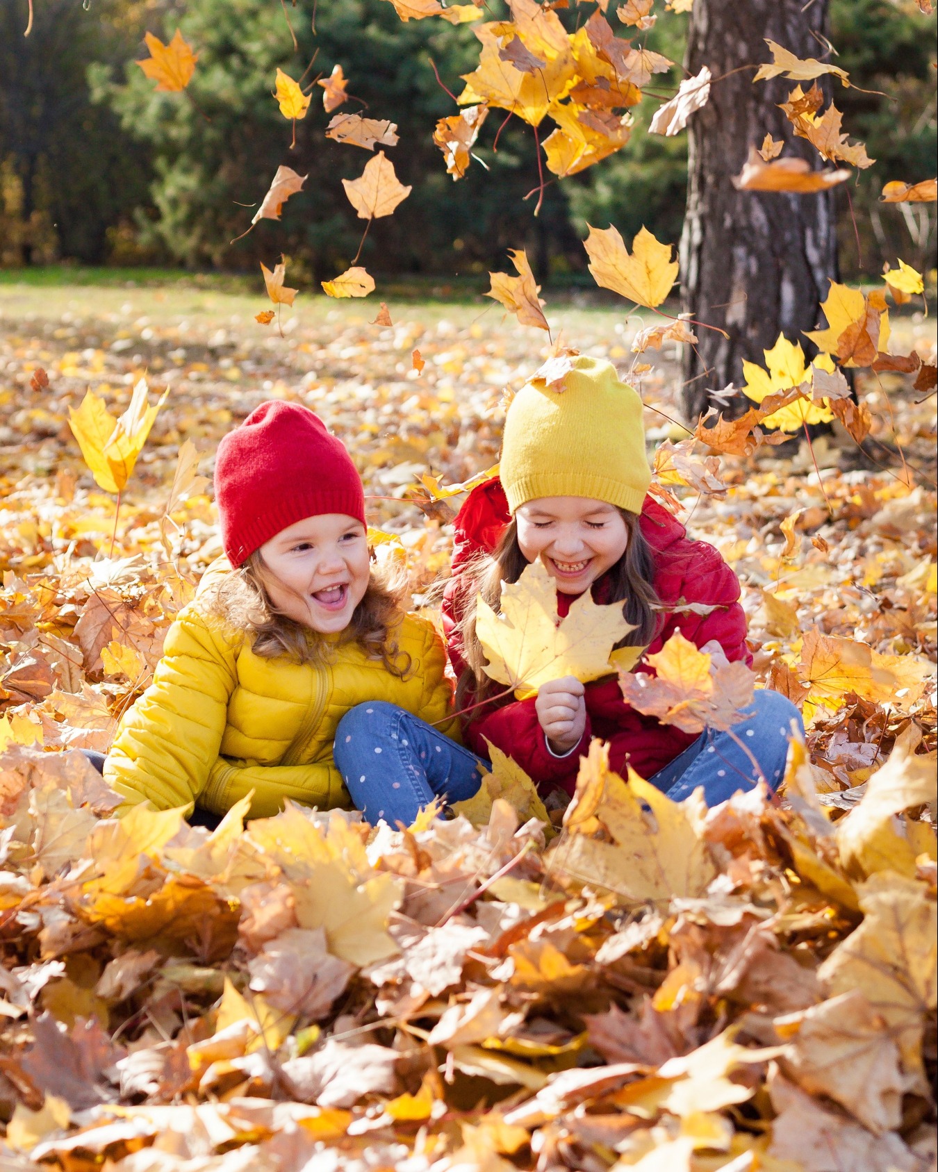 West - Leave the Leaves: Take a Break and Don’t Rake! 🍂 Skipping the ...