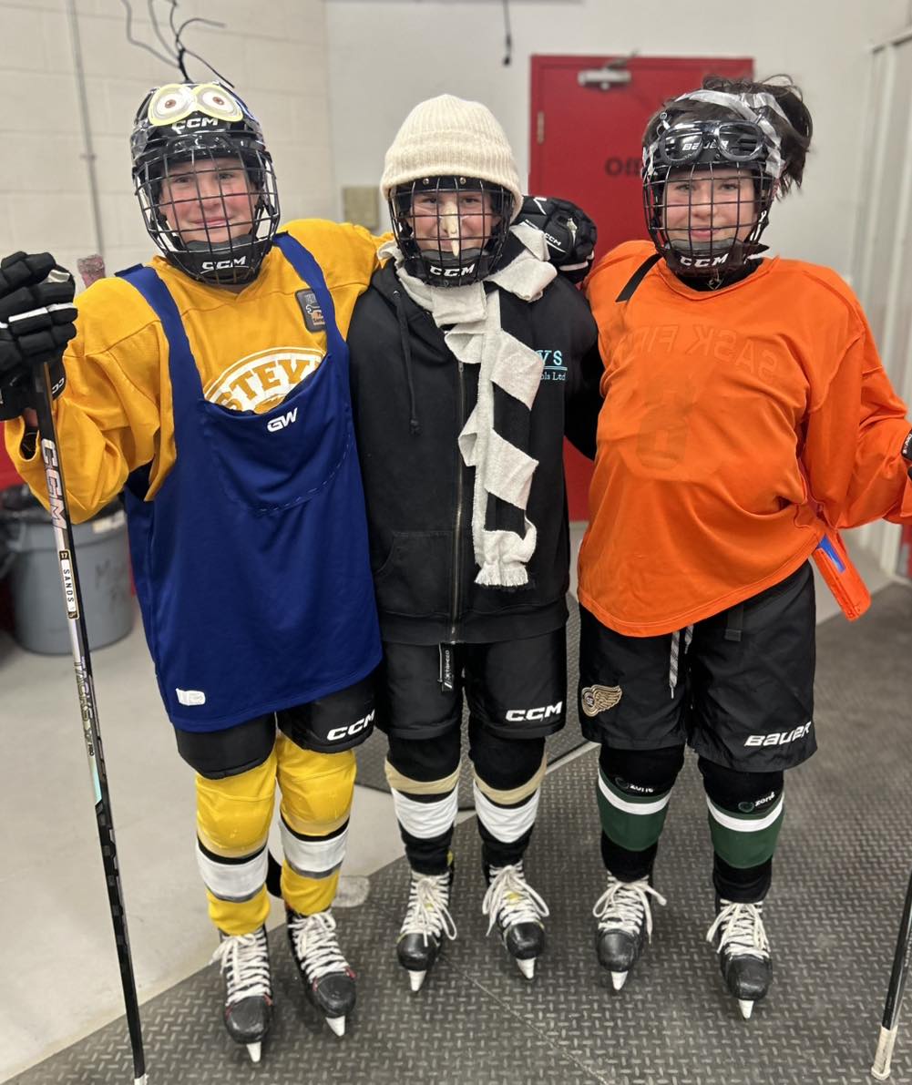 🏒 Meet your... - U15 AA SE Whitecap Resources Gold Wings | Facebook