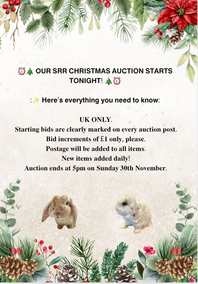 ⏰🎄 𝗢𝗨𝗥 𝗖𝗛𝗥𝗜𝗦𝗧𝗠𝗔𝗦 𝗔𝗨𝗖𝗧𝗜𝗢𝗡... - Shrewsbury Rabbit Rescue | Facebook