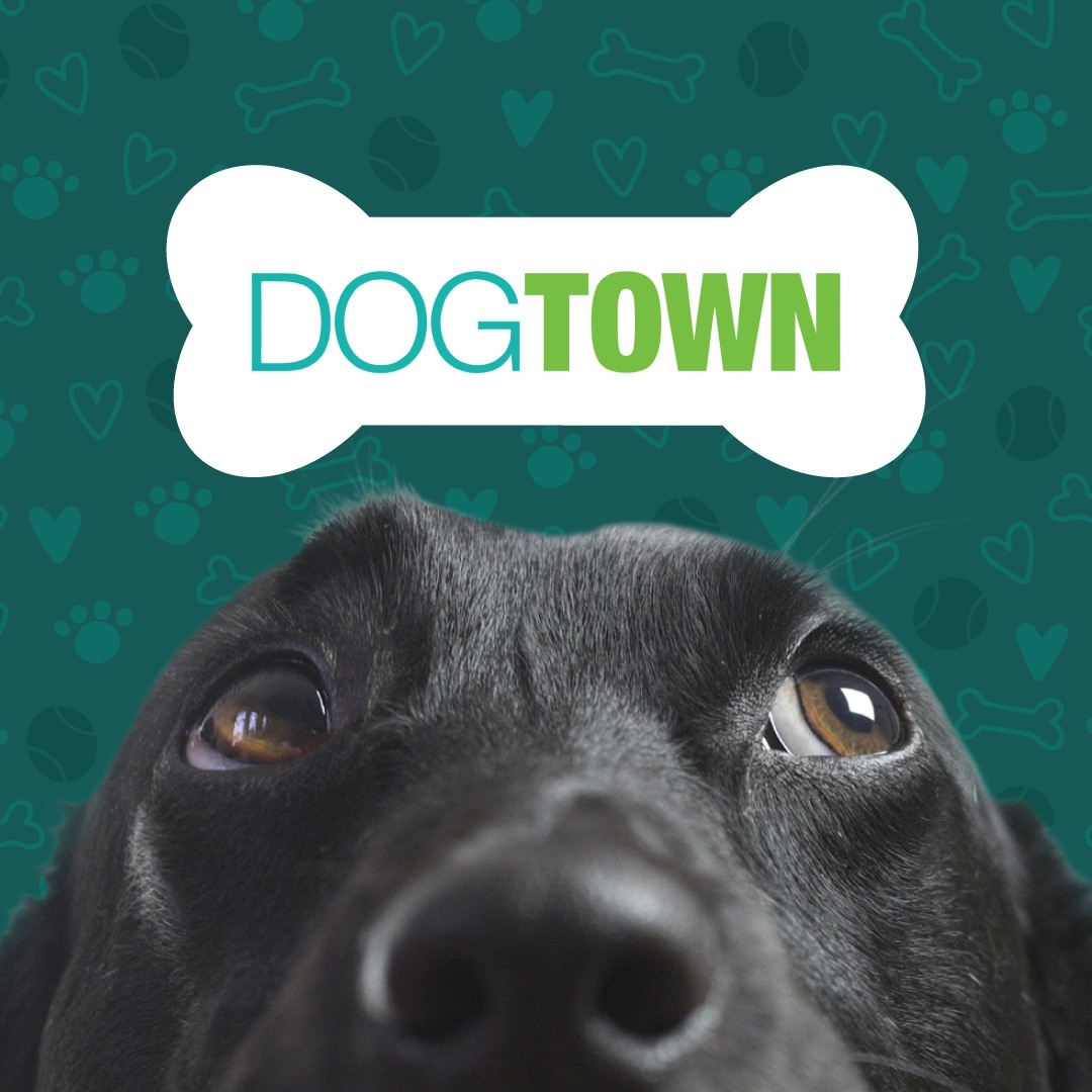 🐶Now Hiring at Dogtown – Cincinnati!🐶 Love dogs? Want to get paid to ...