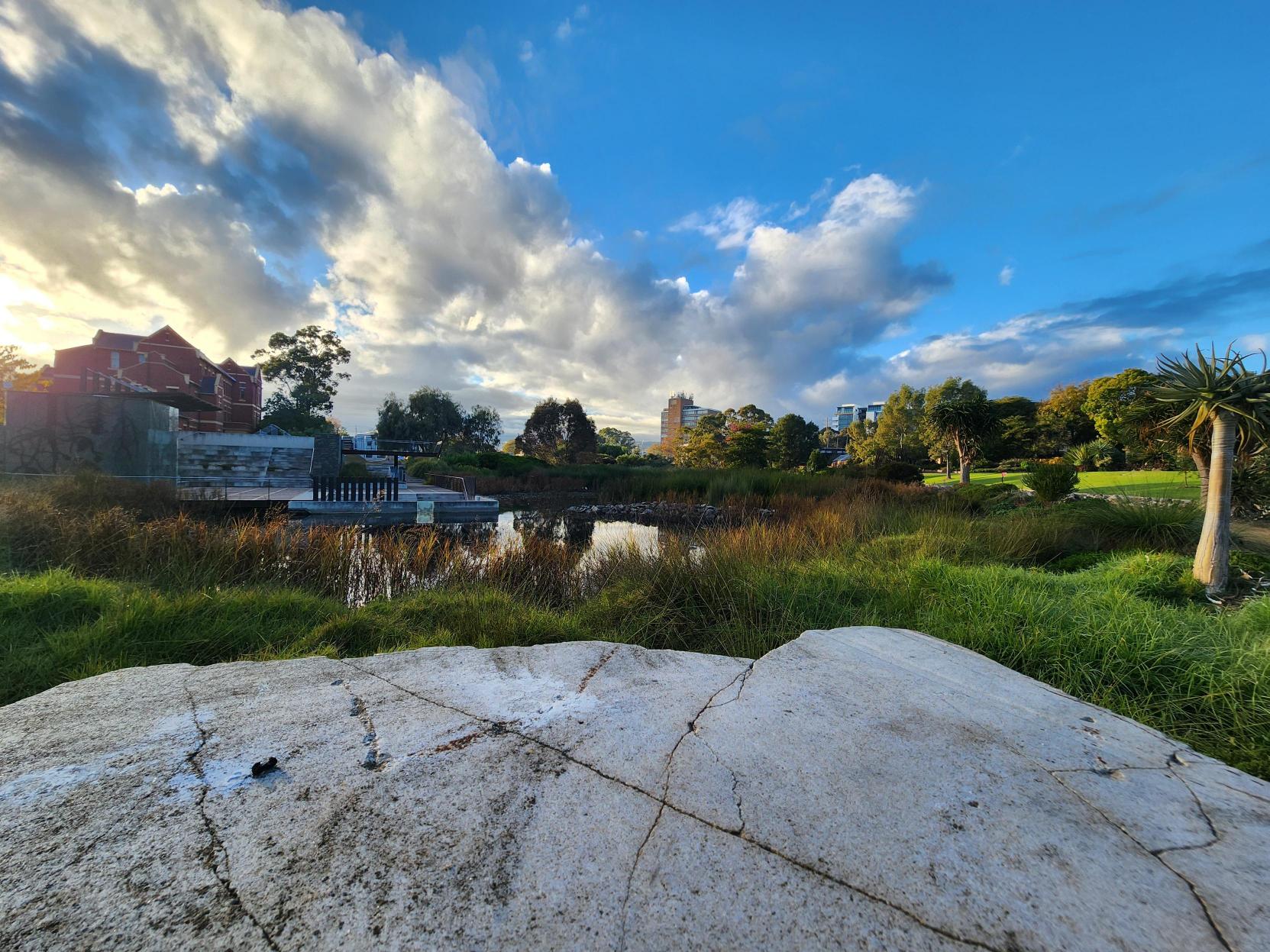 🌏 Today is World Environment... - Adelaide Botanic Garden