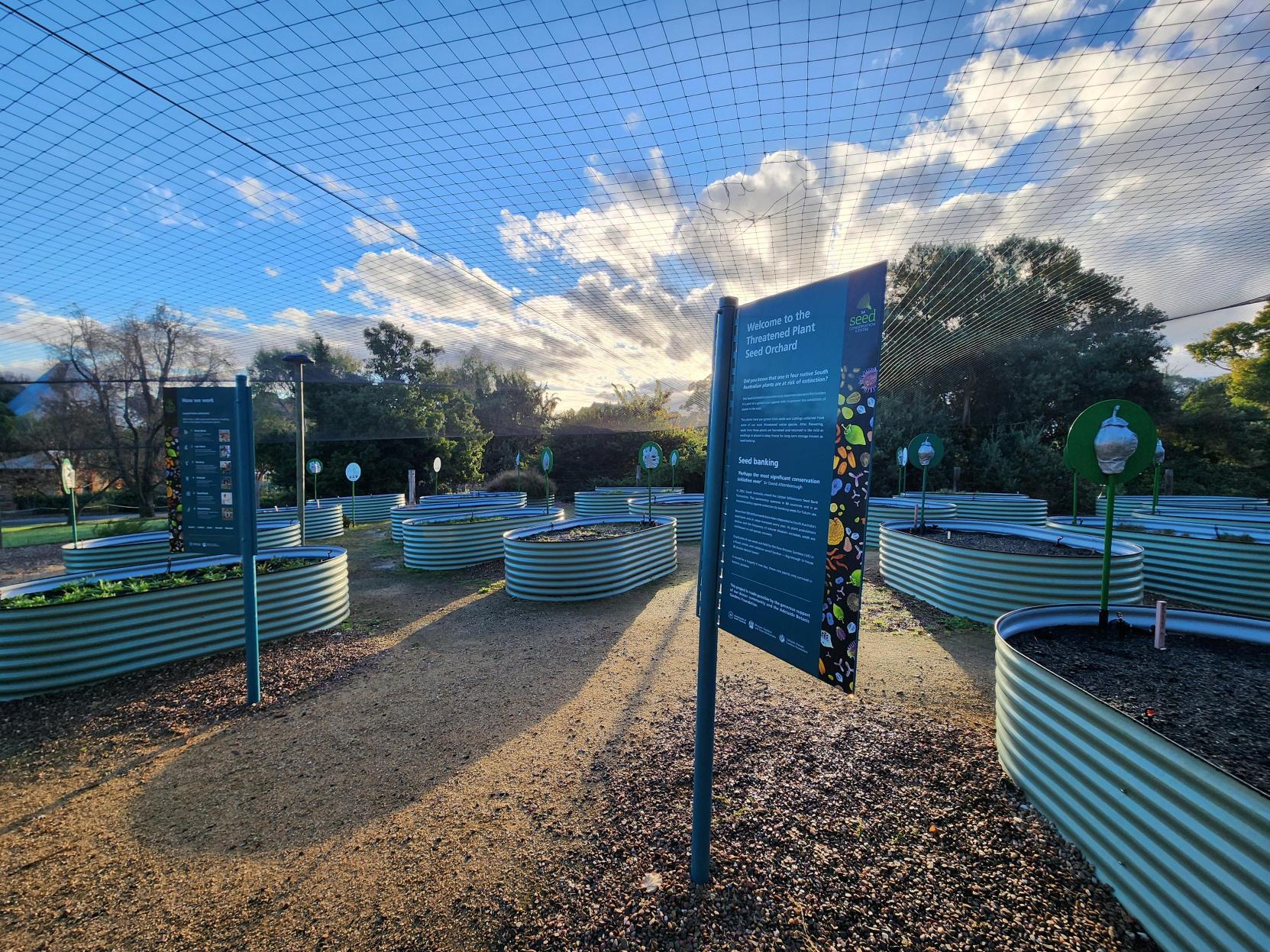 🌏 Today is World Environment... - Adelaide Botanic Garden