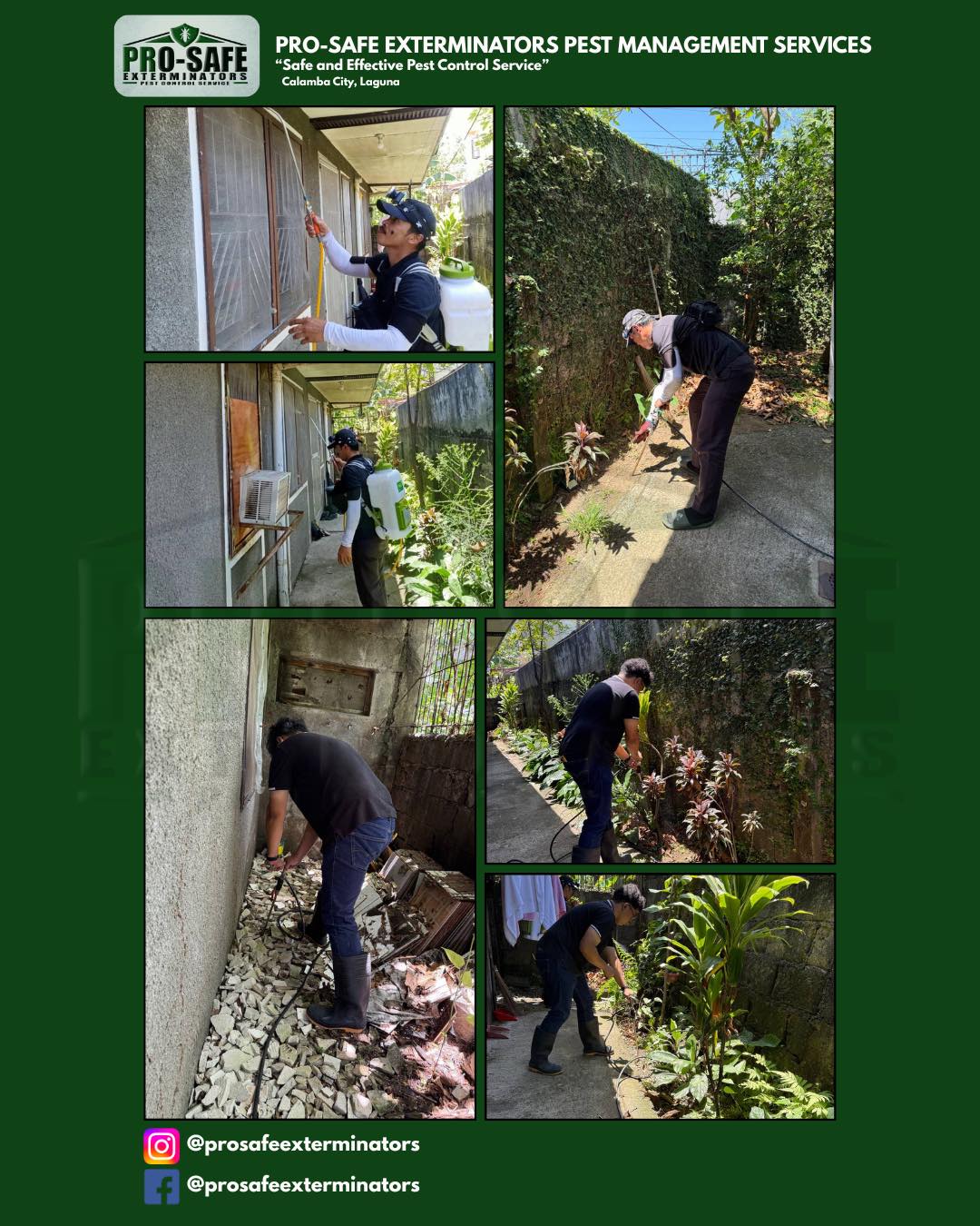 Pro-Safe Exterminators Pest Management | Calamba