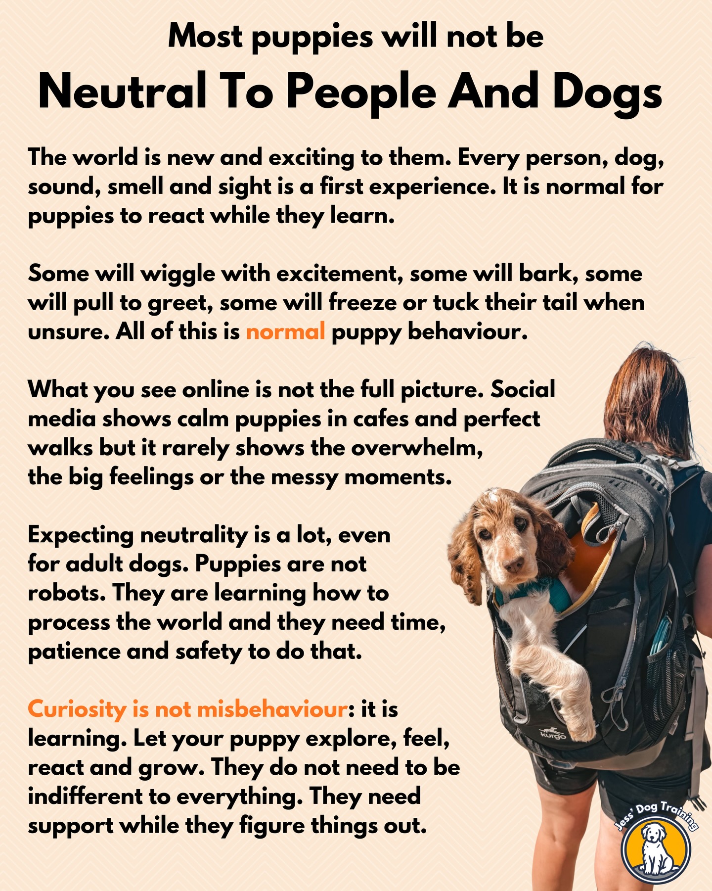 Curated visual reference: Gallery Detail: Jess Dog Training Added A New Photo
