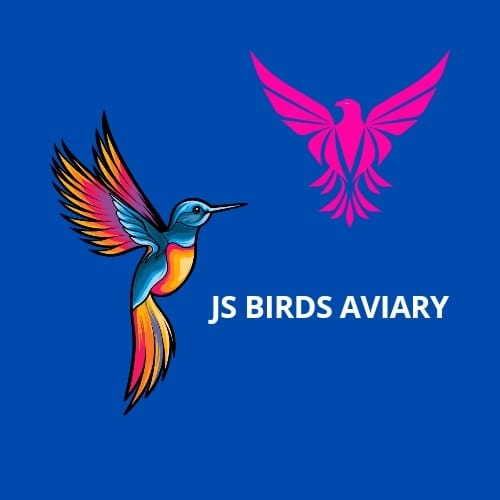 JS Birds Avairy | Dhaka