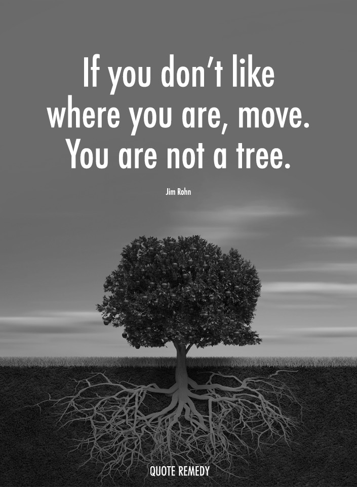 Quote - If you don't like where you are, move. You are not a tree. Jim ...