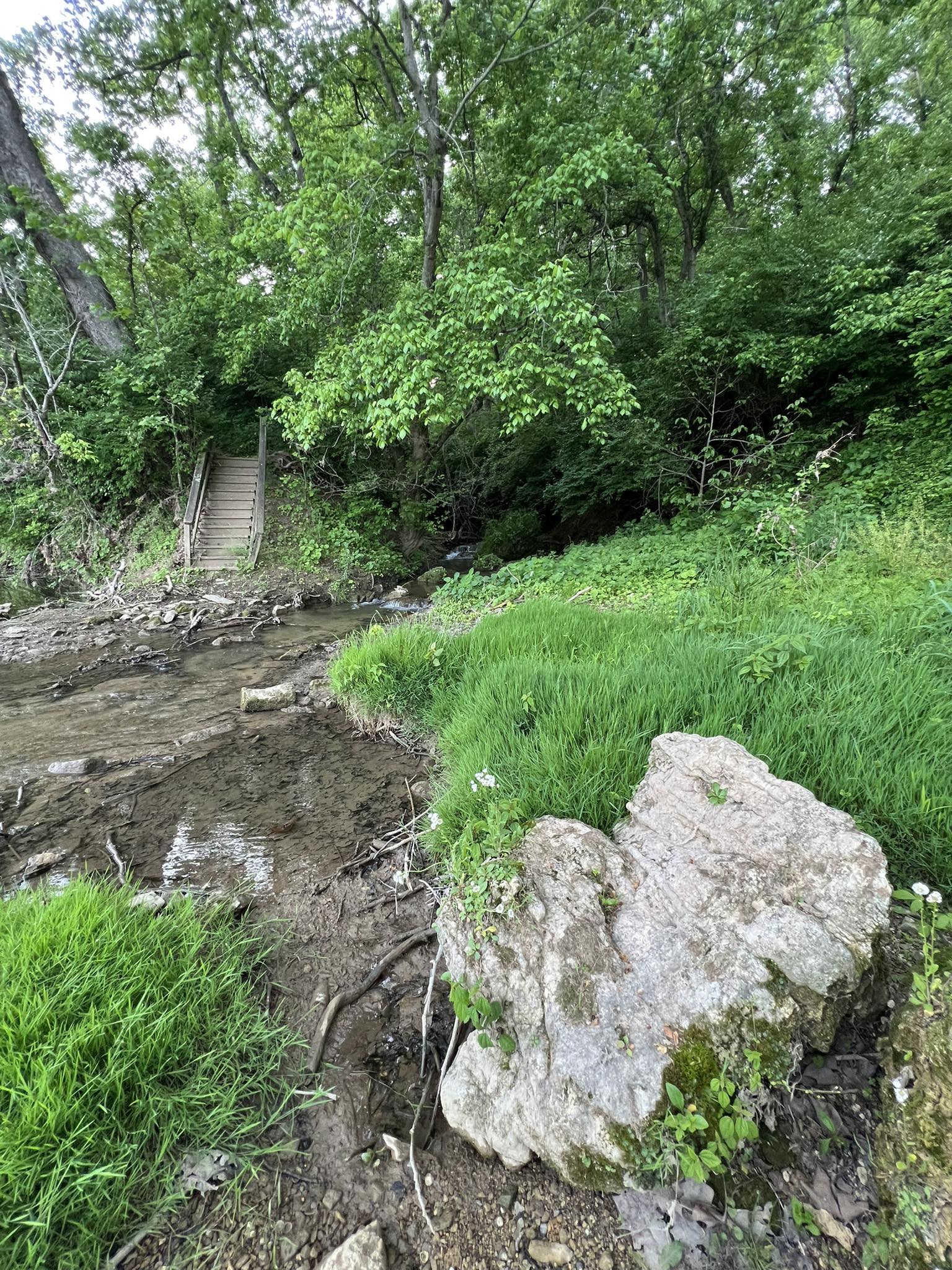 Borden’s Marsh Run