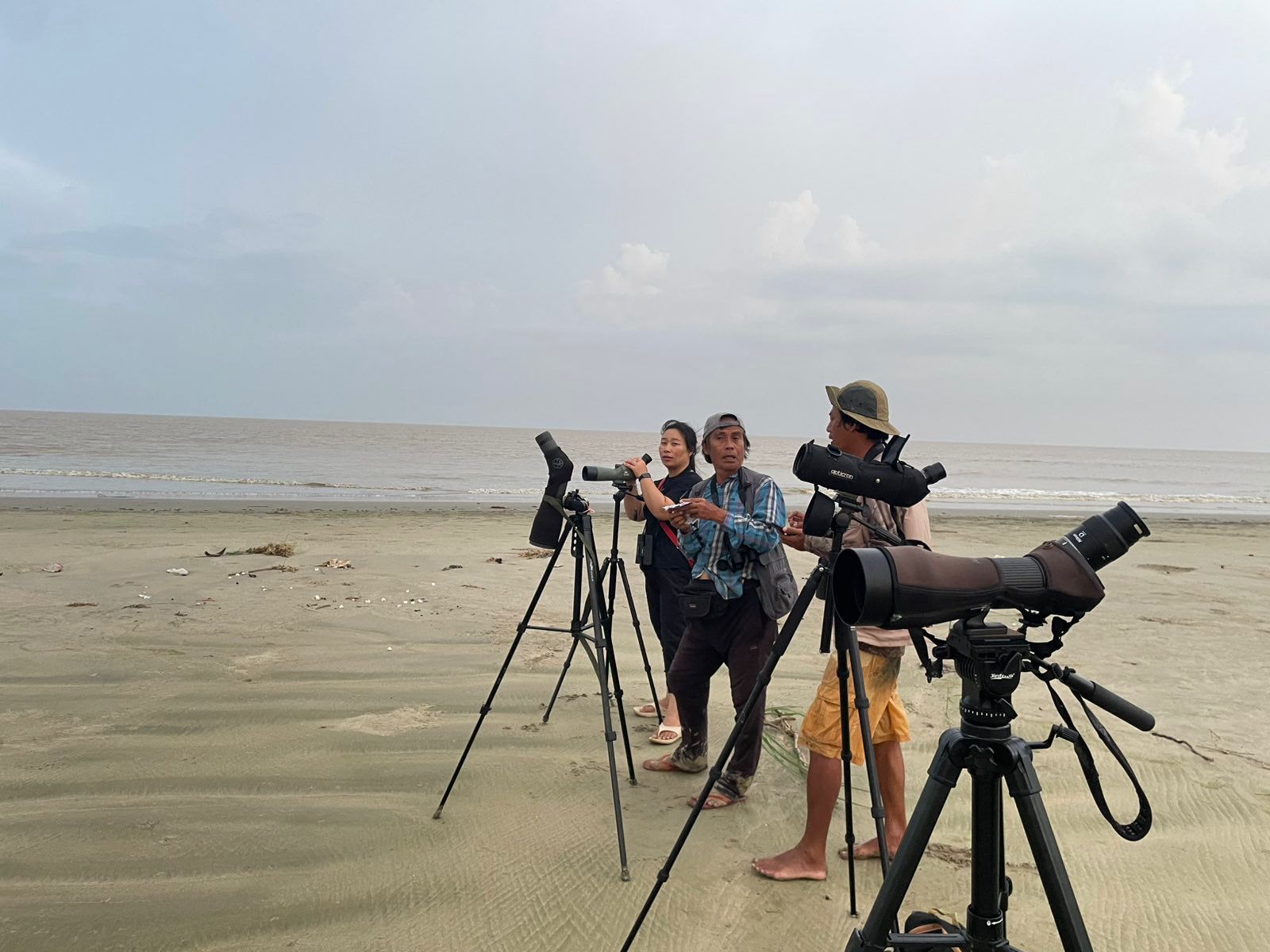 Spoon-billed - Spoon-billed Sandpiper Task Force News Bulletin 25 (Nov ...