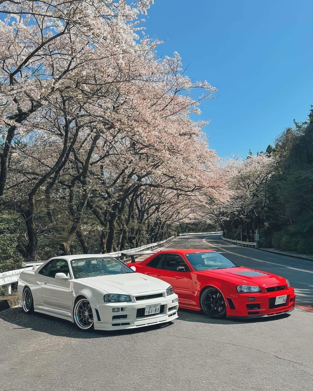 These cherry blossoms are in full bloom! 🏎️🌸 Nissan 300ZX (Z32
