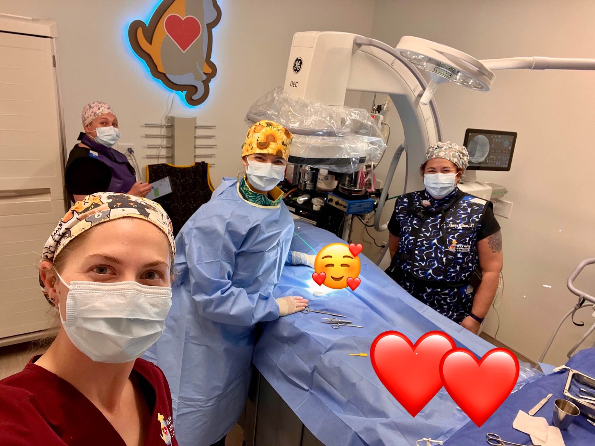 🎉 Celebrating a Milestone:... - Olympic Veterinary Cardiology