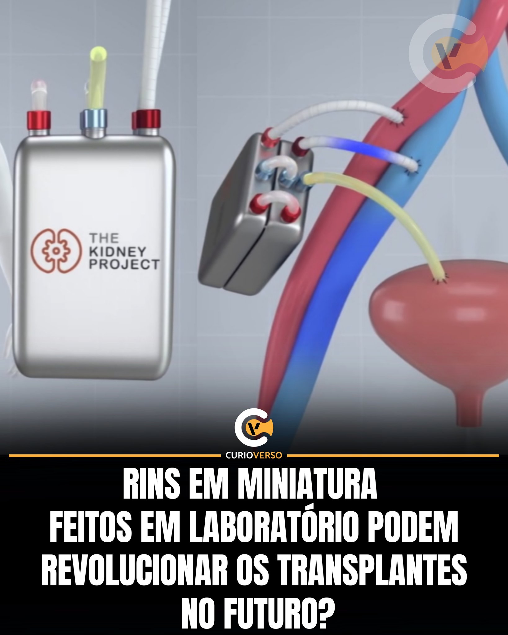 CurioVerso