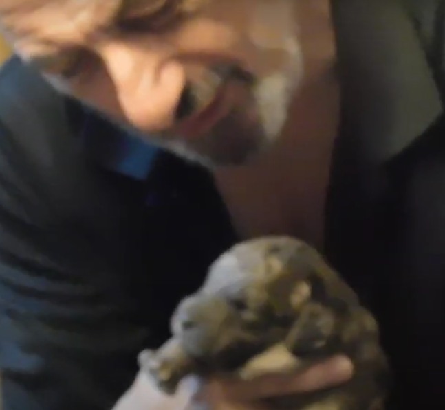 Dream - Today is the day! Meet our new pals in Sweedie's litter! Our ...