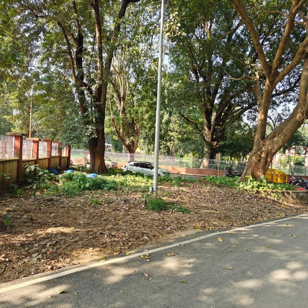 Central Institute of Psychiatry Ranchi | Ranchi