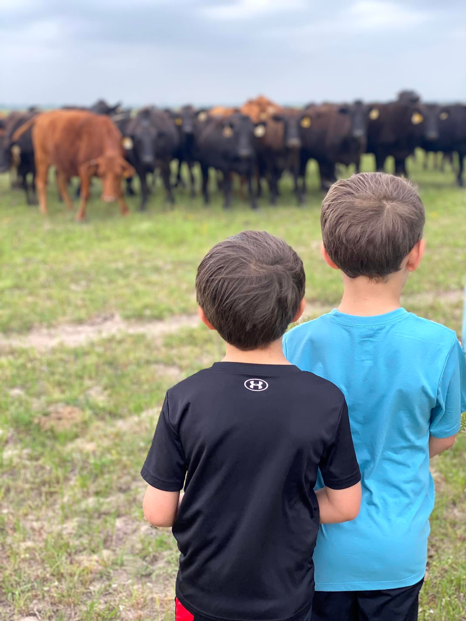 Rocking 711 Ranch | Edna TX