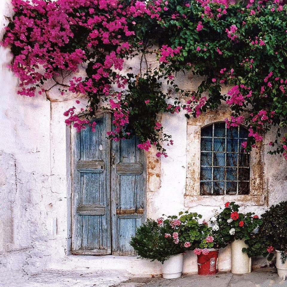 The old door and window of... - Greece Grèce Ελλάς Grecia