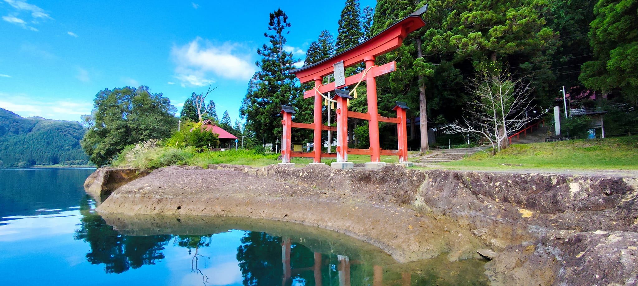 花惹發