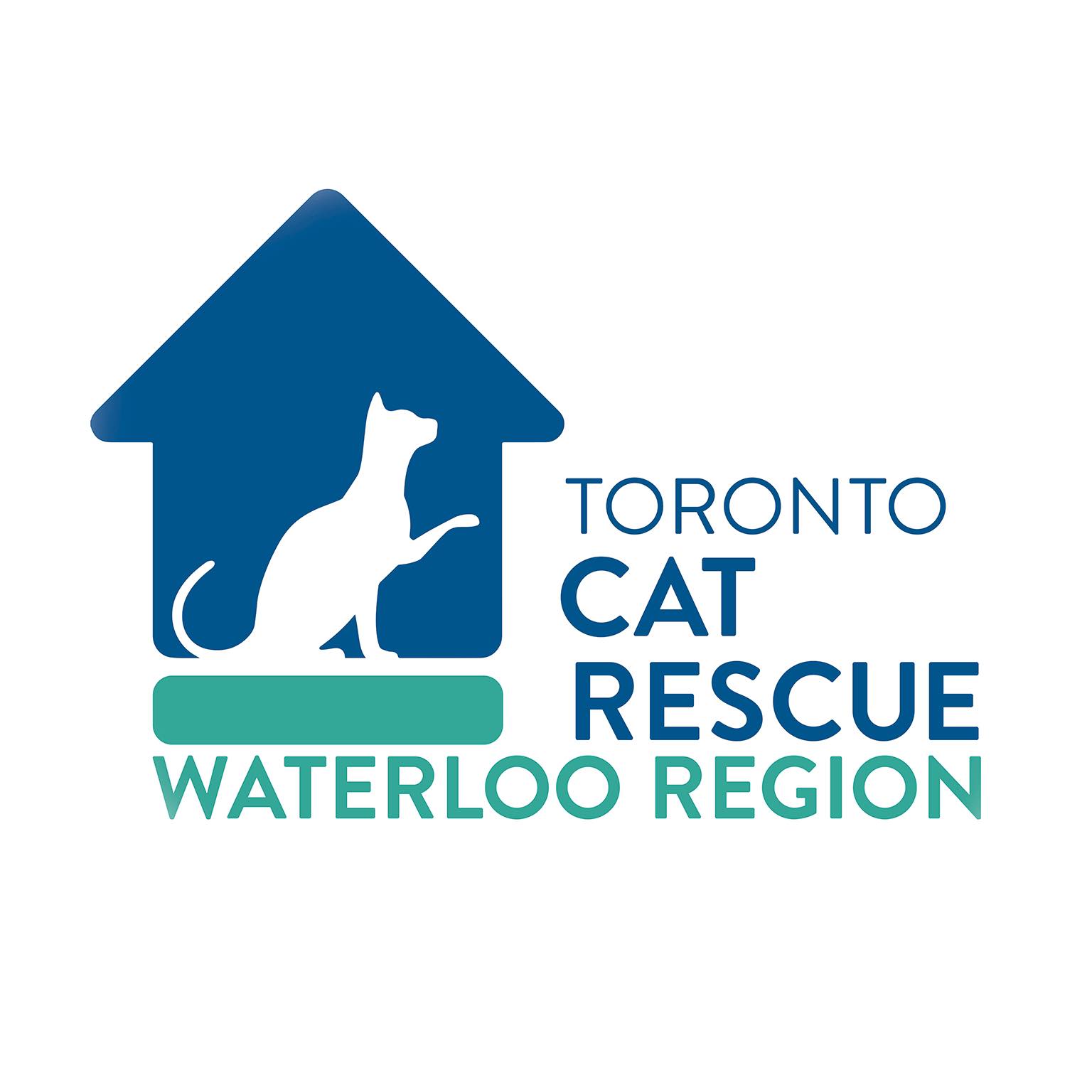 Toronto Cat Rescue - Waterloo Region - Todays Monday fun fact!! For ...