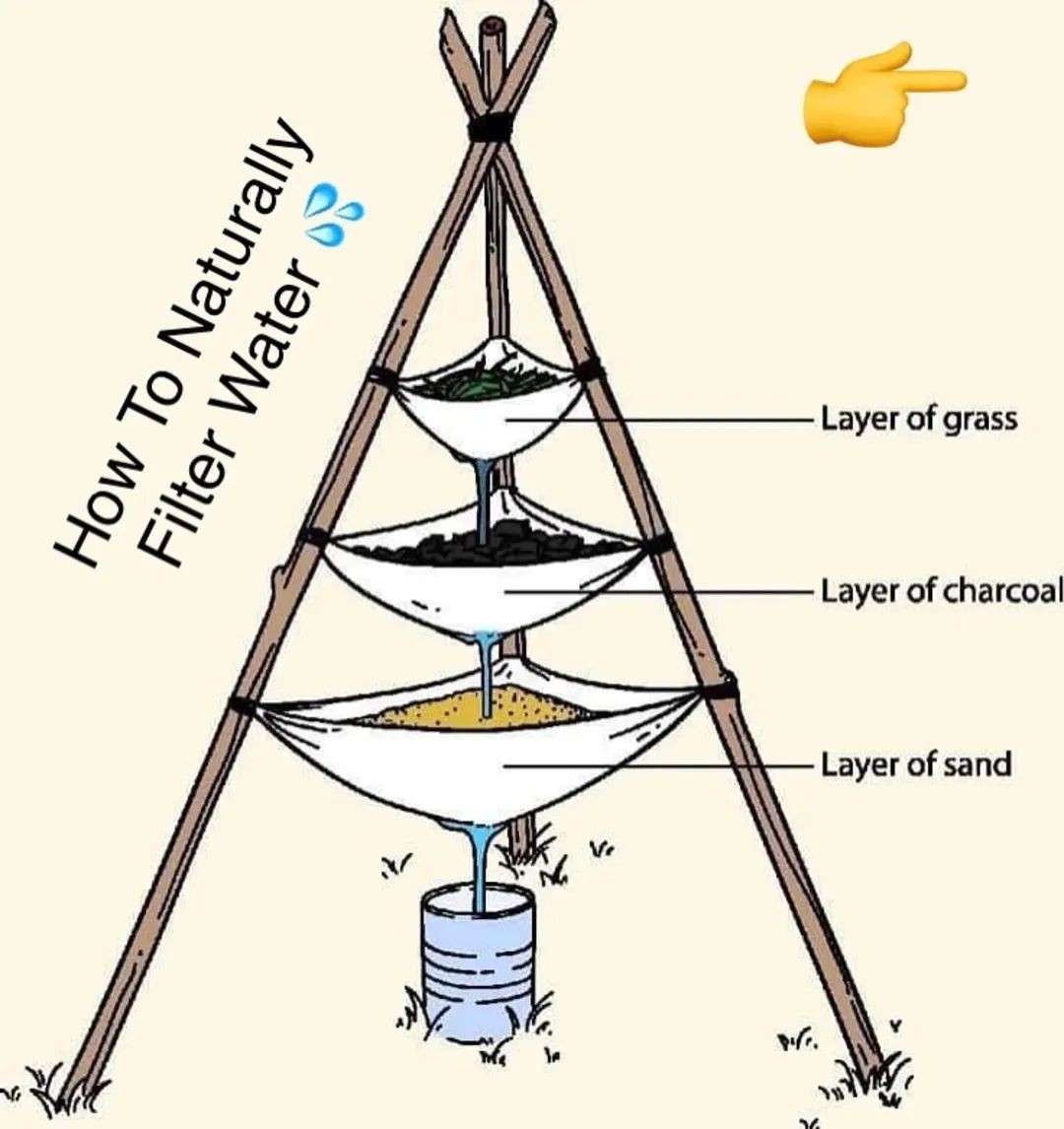 How To Naturally Filter Water 💦 | Facebook