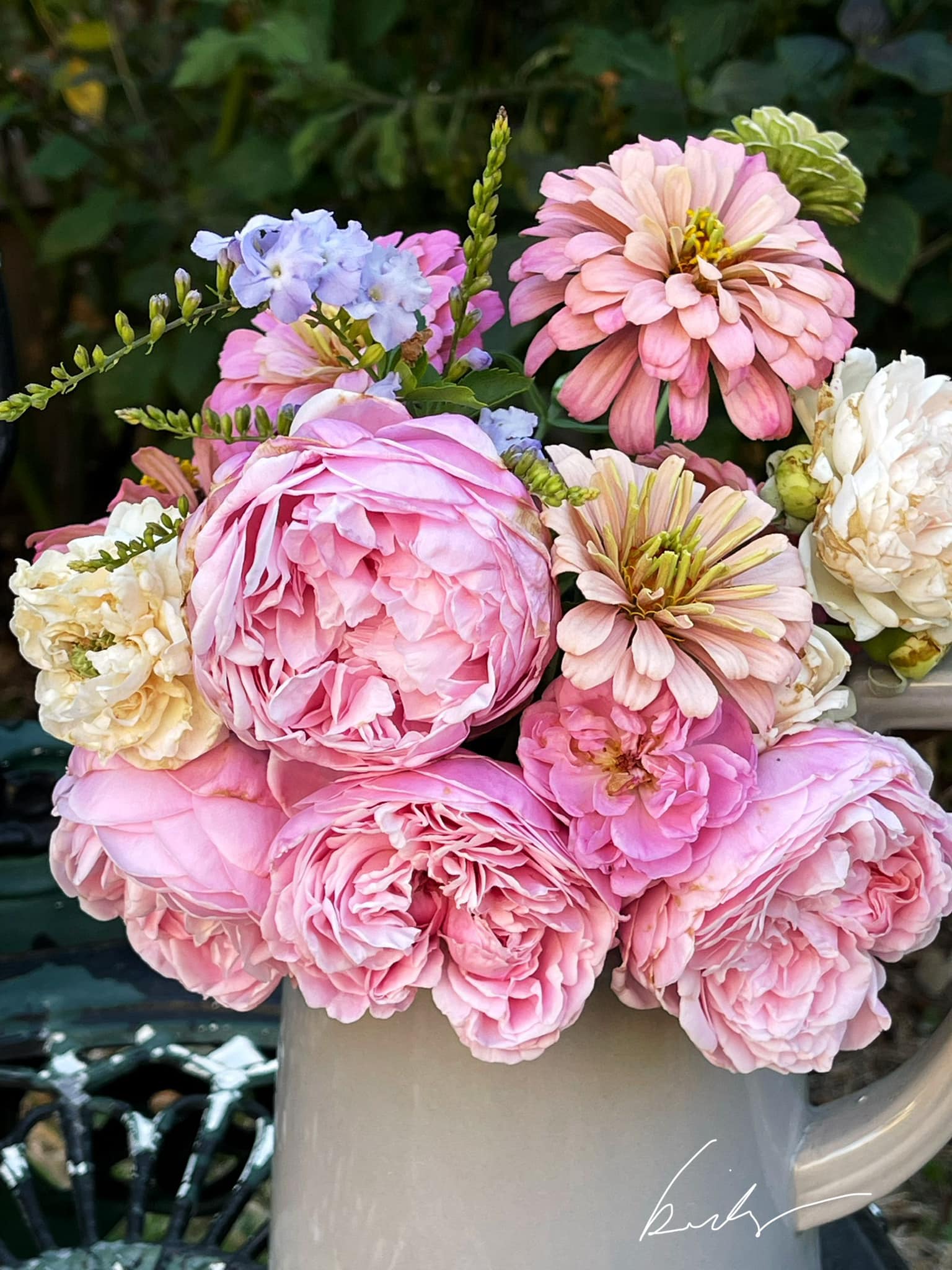 David Austin 