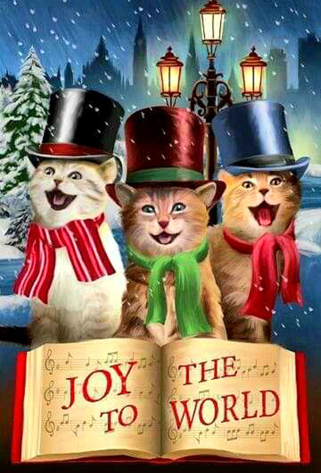 Cats We Love - Joy to the world.. 🎀 🐈🎄🎁 ️🐈 🎀 | Facebook