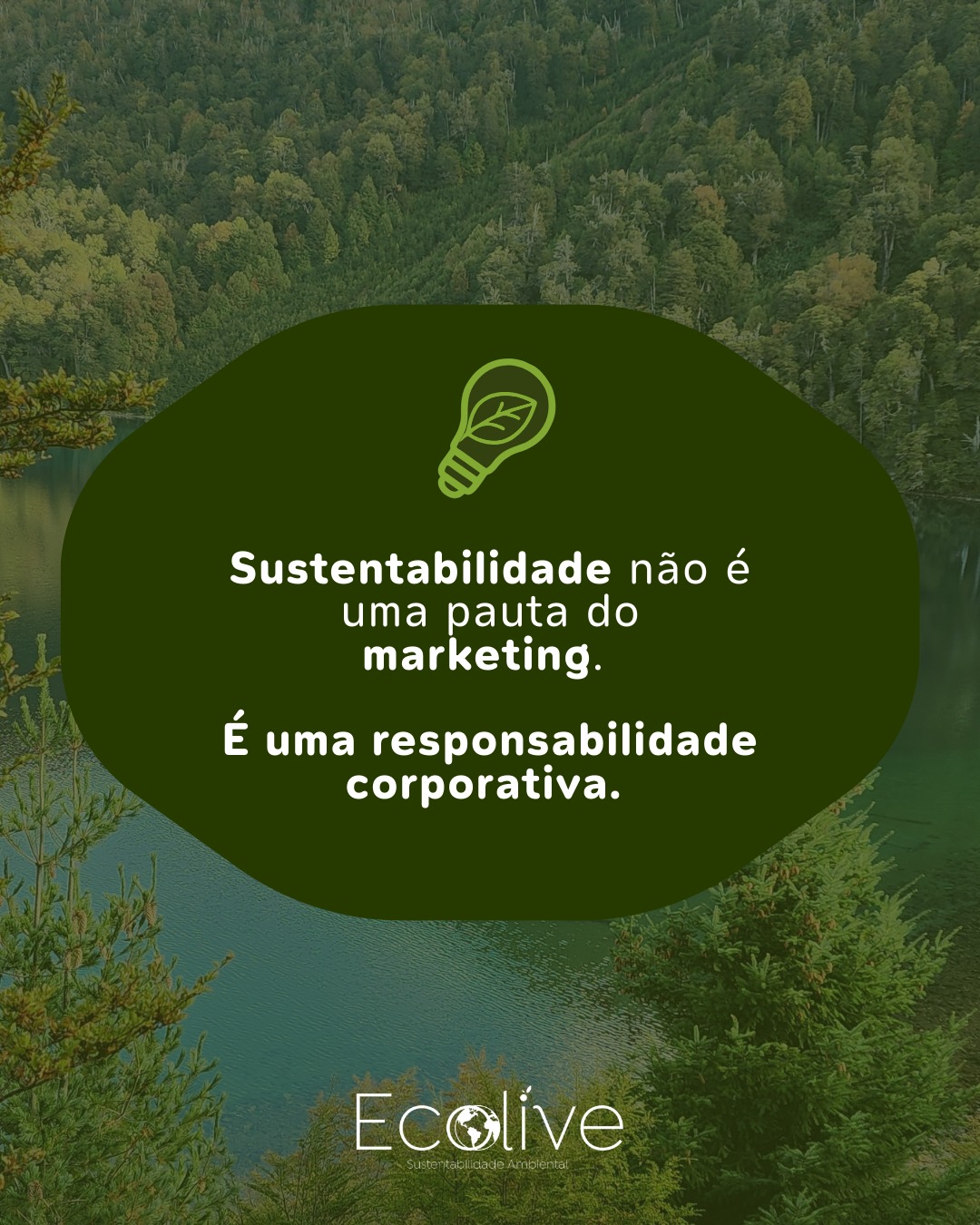Ecolive Sustentabilidade Ambiental | Ribeirão Prêto SP