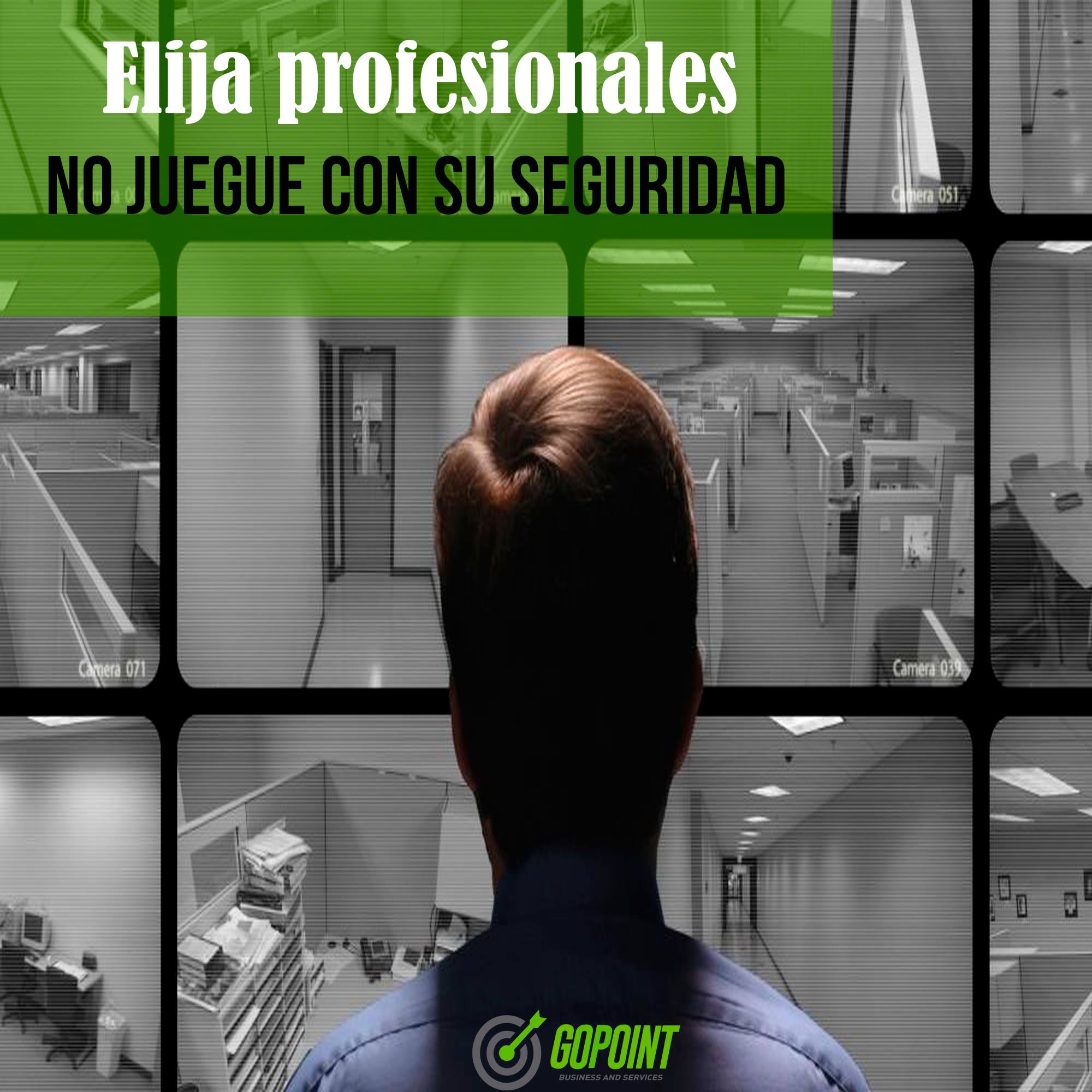 Gopoint - La seguridad en una estructura la componen...