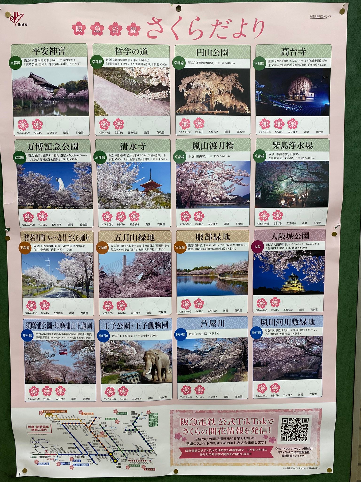阪急電車の「さくらだより」です。