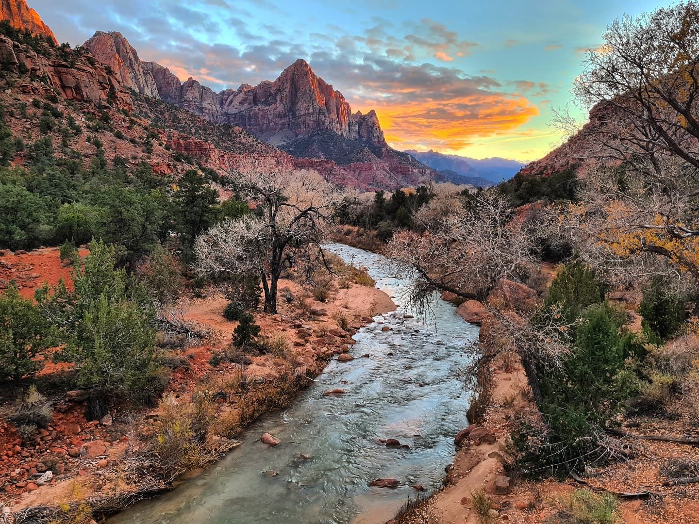 Visit - 🚌 Erkunde den Zion Nationalpark mit dem Shuttle – und starte in ...