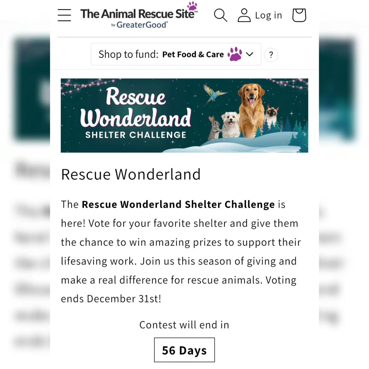 NYC - 🎄 Rescue Wonderland Shelter Challenge is here! The awesome people ...