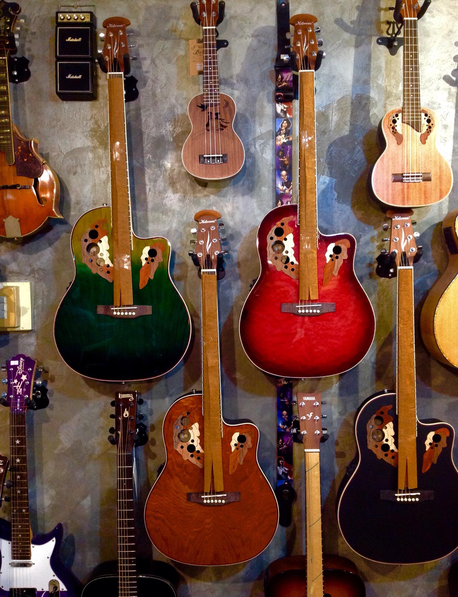 Sam Guitar Shop - NEW GUITAR ACOUSTIC (หลังเต่า)... | Facebook