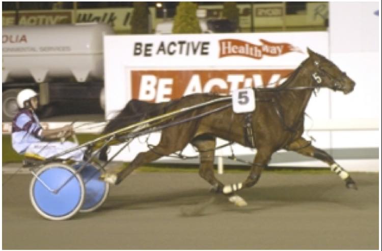 Harness Racing Western Australia