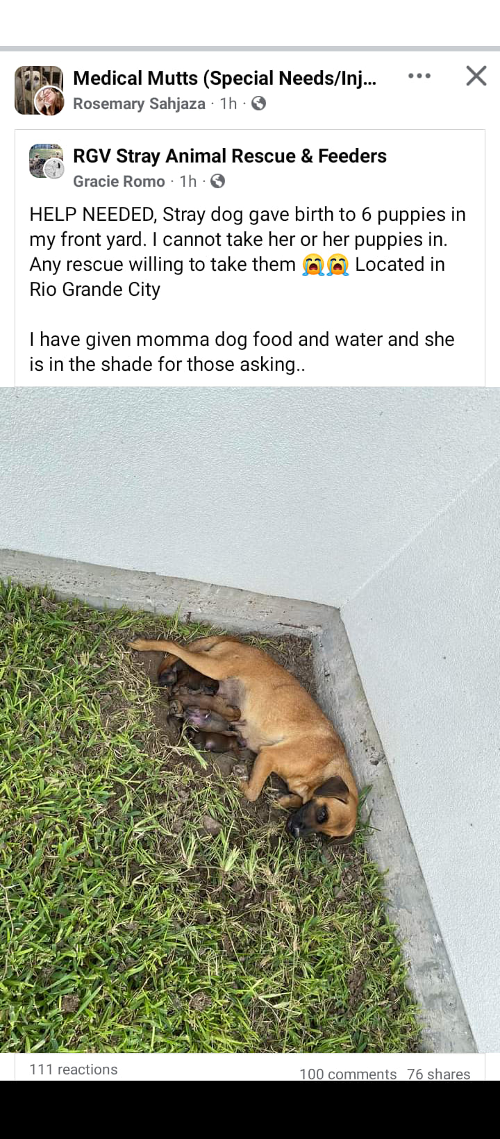 RIO GRANDE CITY, TX- ♥️$60 NEEDED …SHE NEEDS EMERGENCY TRANSPORT