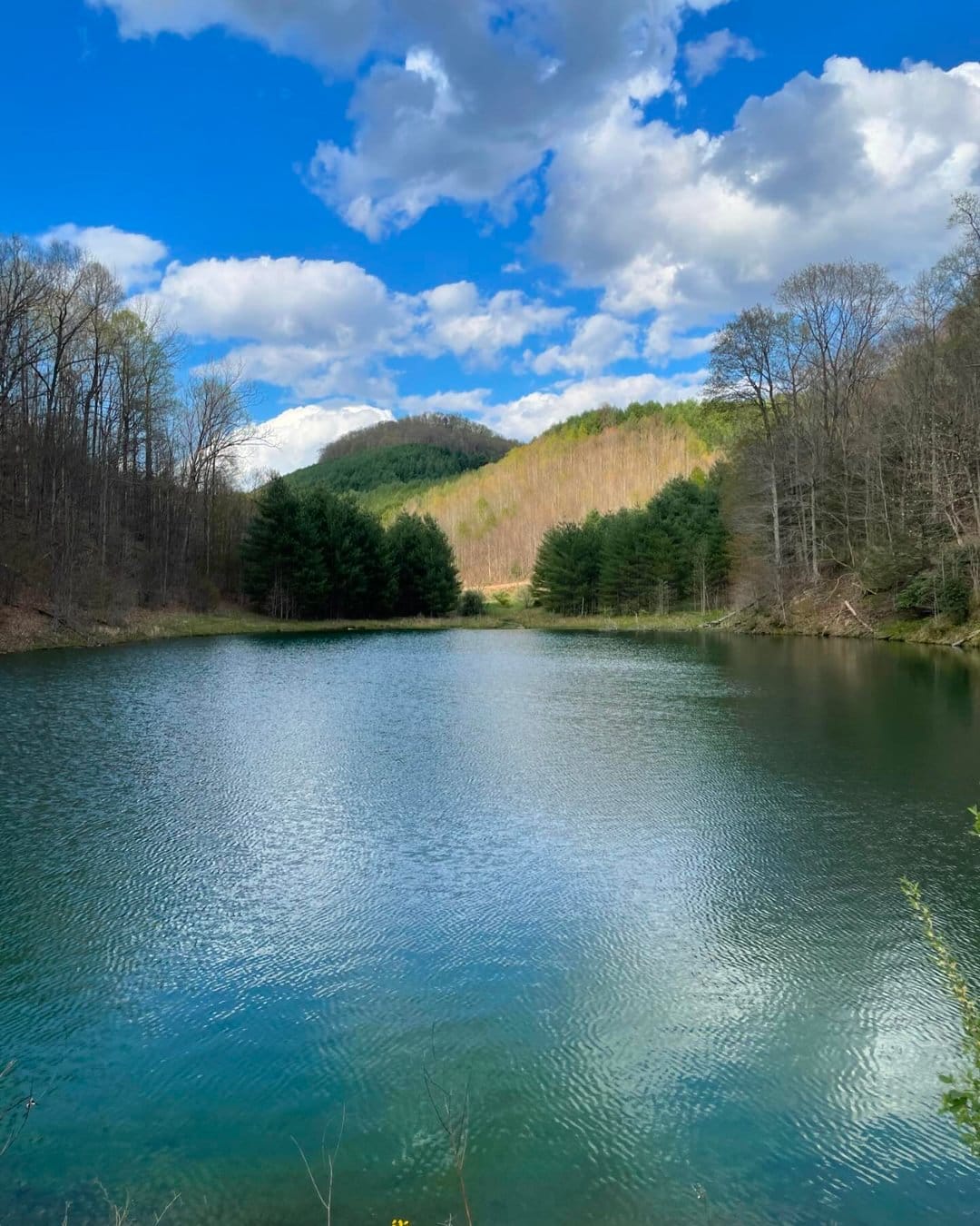 Amos Run Hunting Club | Wainville WV